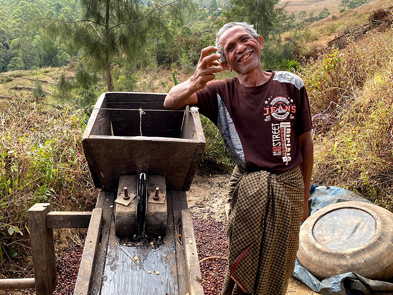 【JAS認証】東ティモール マイクロロット レウバサ村