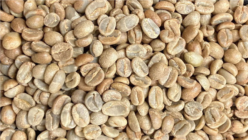 beans