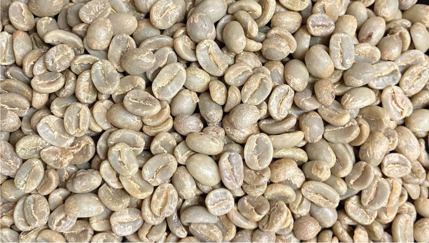 beans