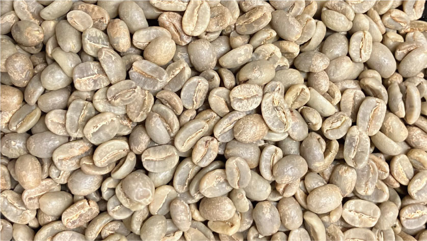 beans
