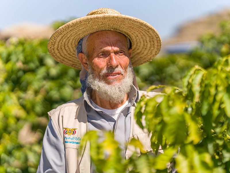 イエメン モカハラズ アリー・モーゼンさん サーマルショック ナチュラル