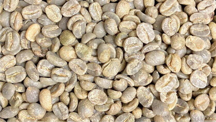 beans