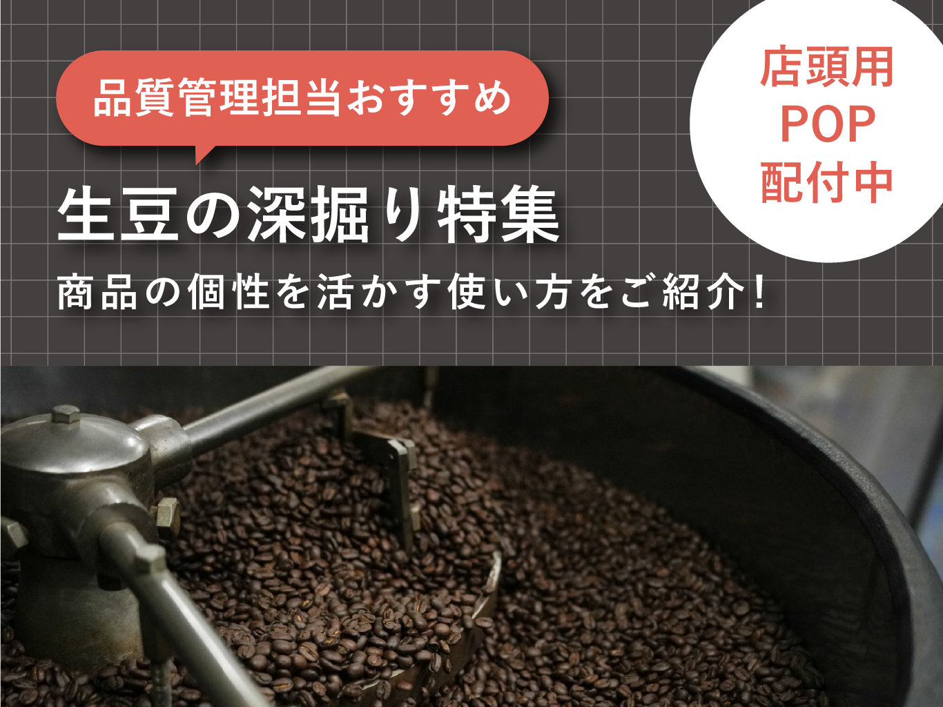 生豆深堀り特集