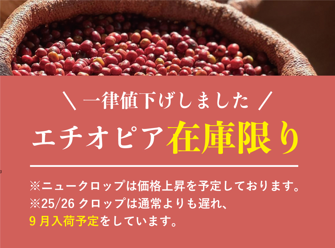エチオピア特集