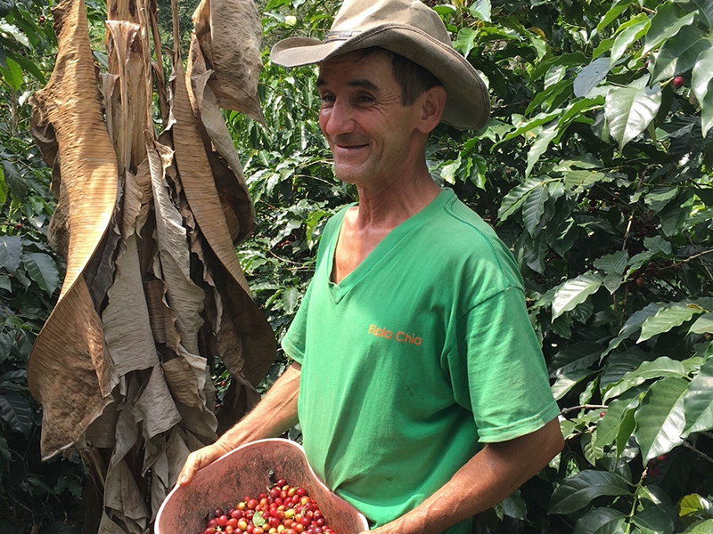 コロンビア ウィラ サンアグスティン ウォッシュ スプレモ