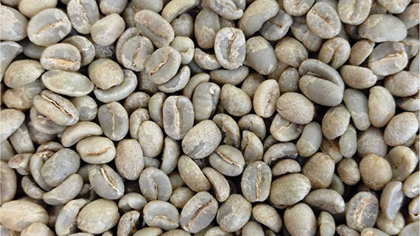 beans