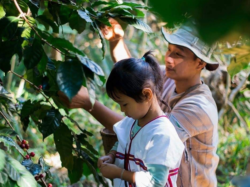 タイ レイジーマン スエさん ナチュラル