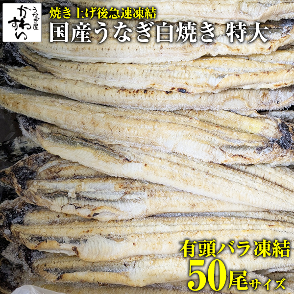 国産　うなぎ白焼　特大　有頭50尾サイズ 5kg【業務用 卸】【製品】