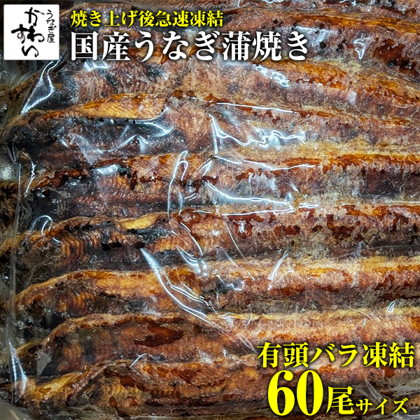 国産　うなぎ蒲焼　有頭60尾サイズ