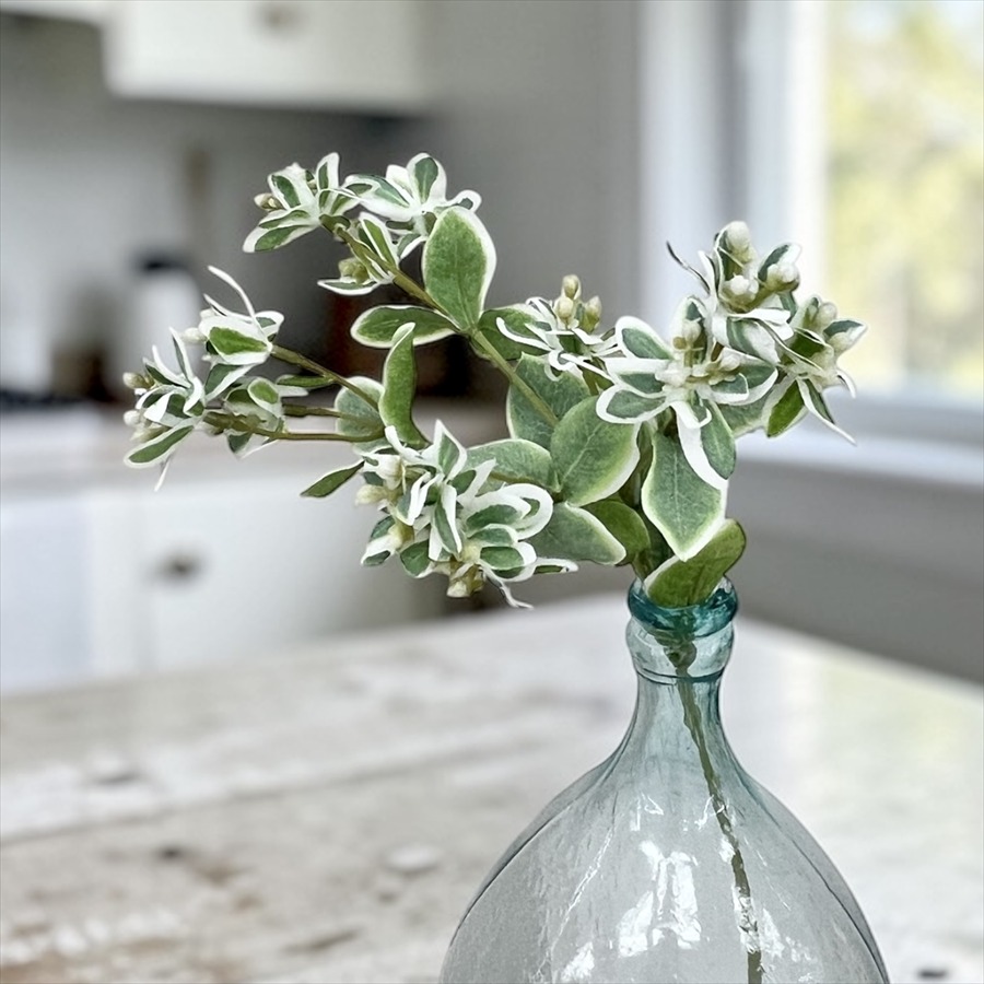 ハツユキソウ ナチュラルフラワー 47cm