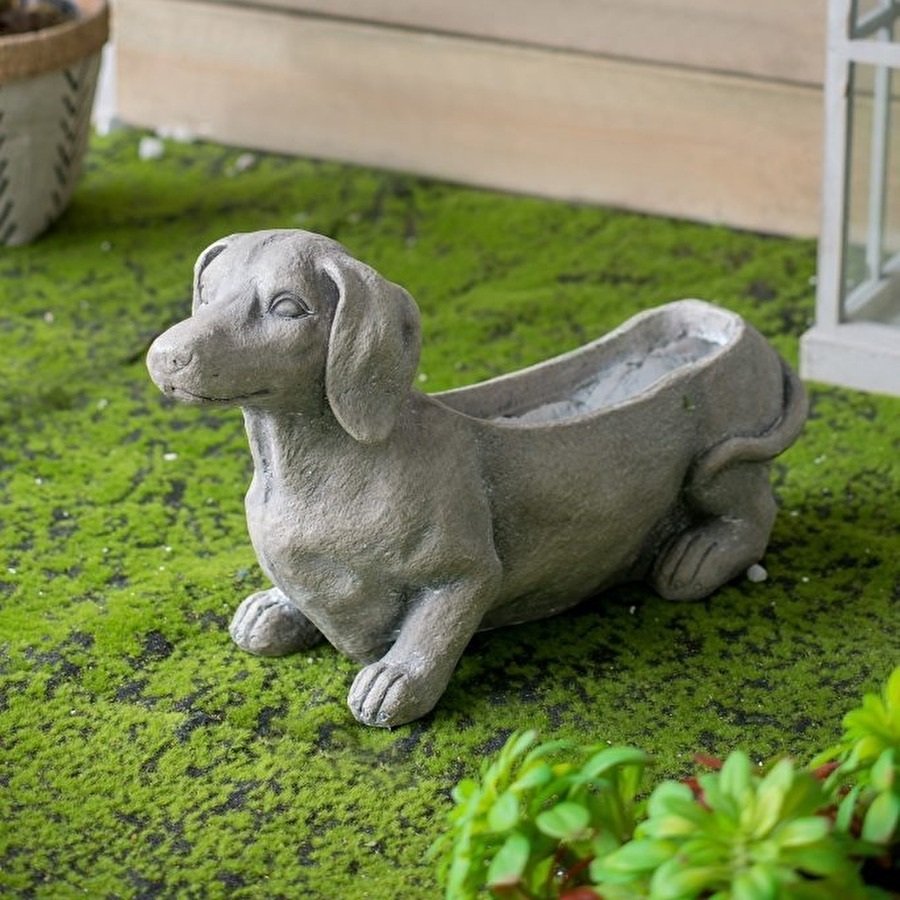 プランター ドッグ