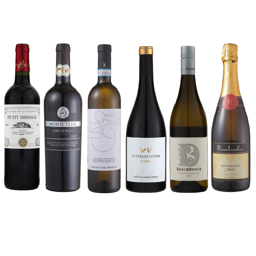 Cコース（赤3本・白2本・泡1本）