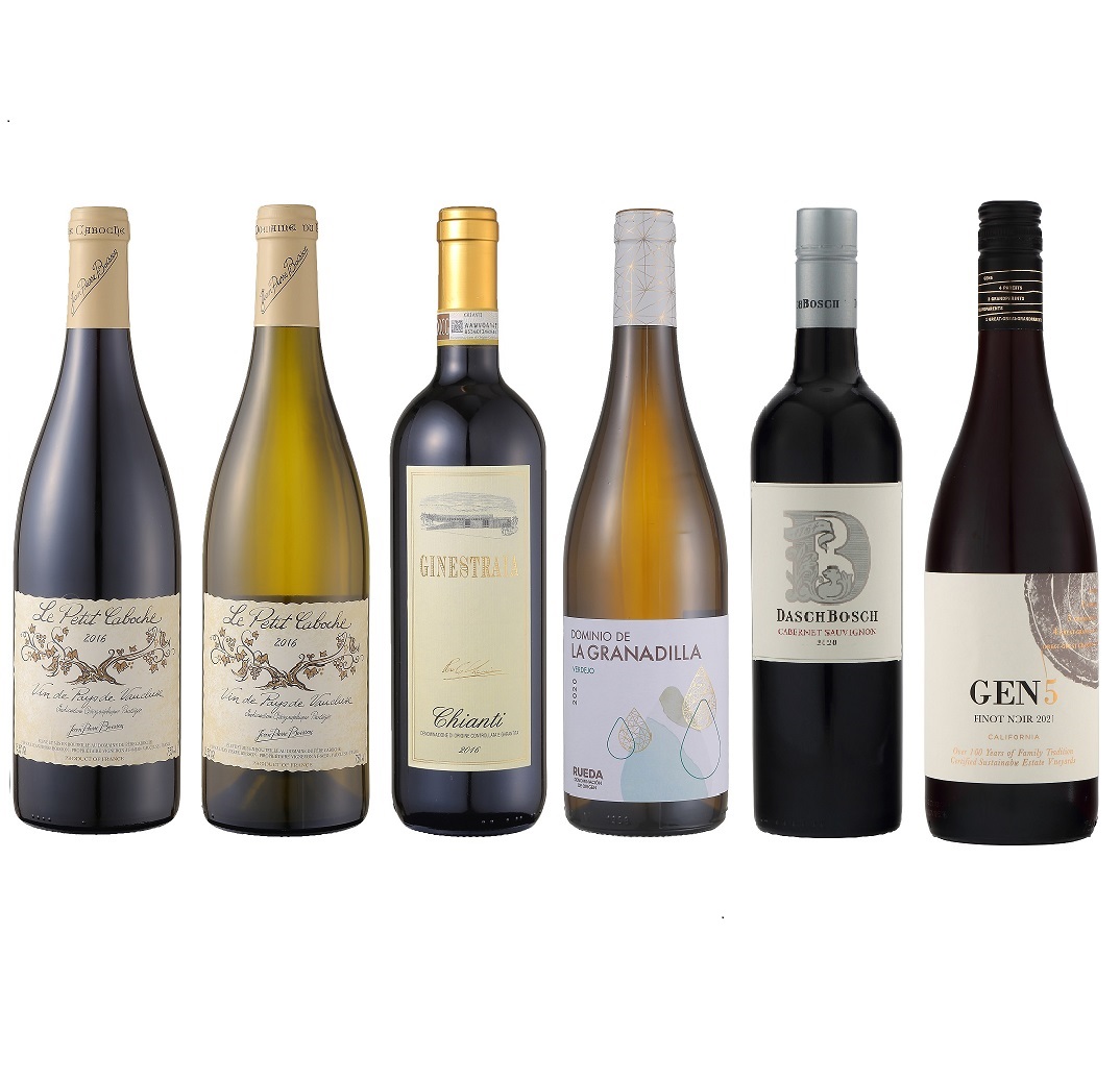 Dコース（赤4本・白2本）