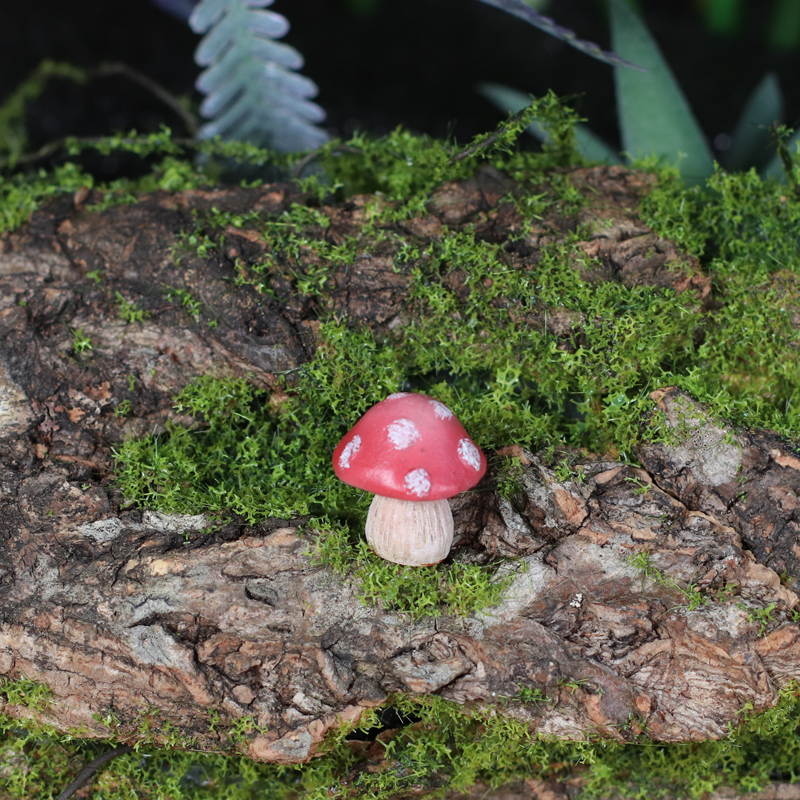 キノコ　大（赤）