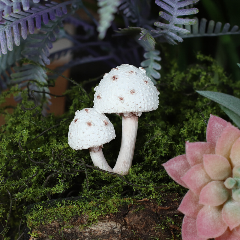 白いキノコのピック