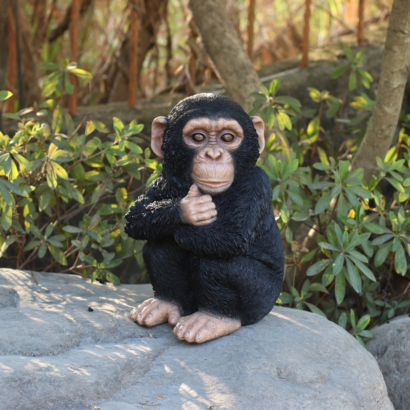 腕を組んで座る チンパンジー（中）