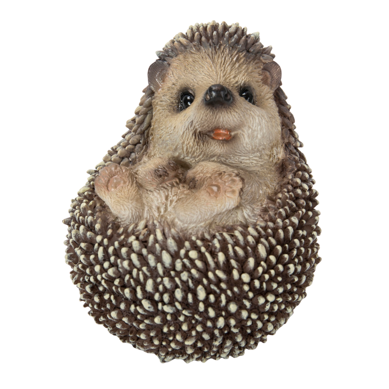 転がるハリネズミ