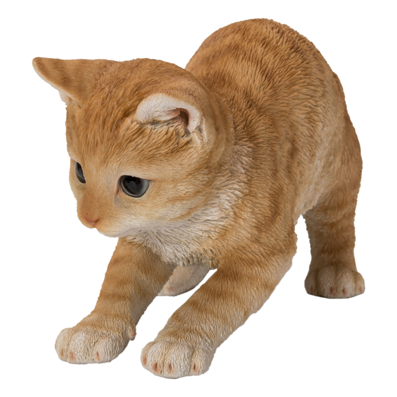 走り出す茶トラ猫