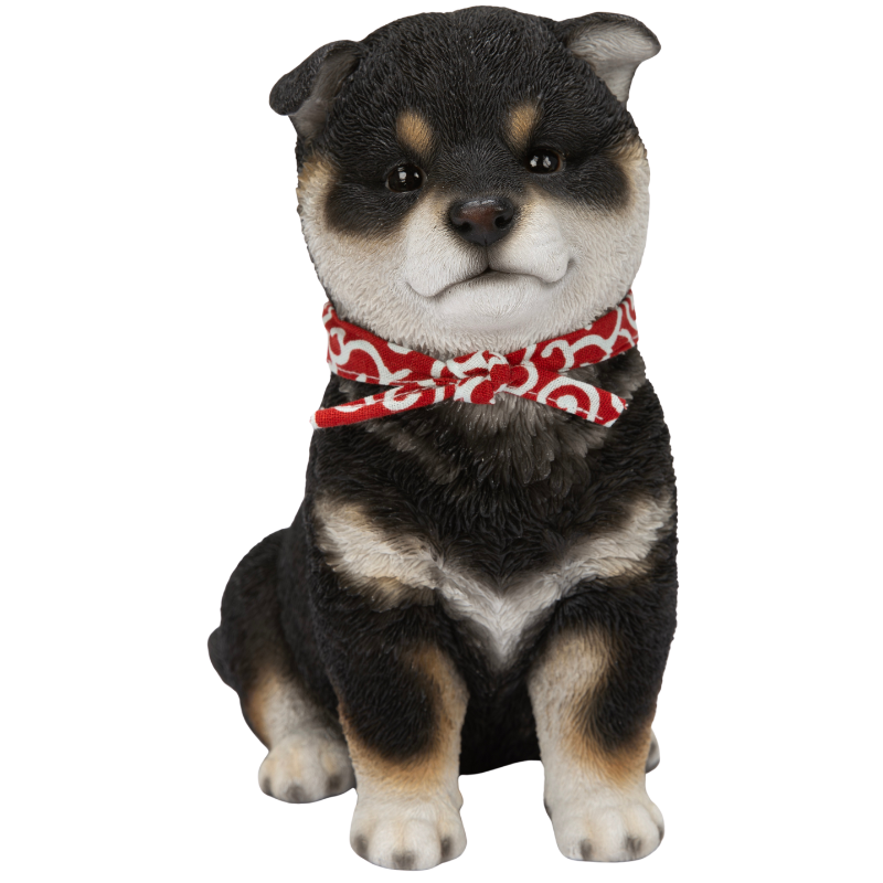 お座り黒豆柴犬（中）