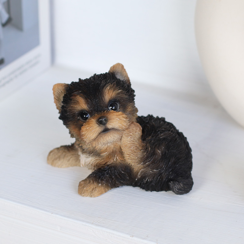 横座りヨークシャーテリア（小）