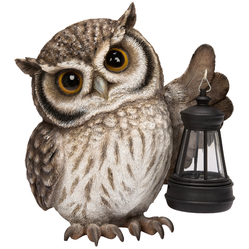 ソーラーランプを左手で持ち上げるフクロウ