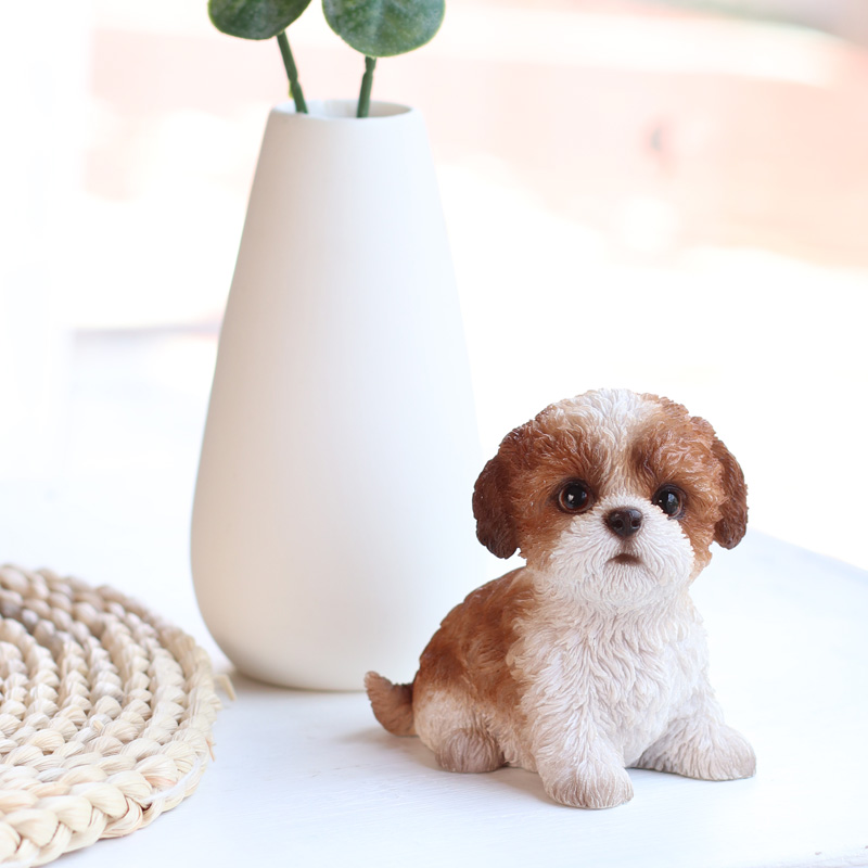 お座りシーズーブラウンホワイト（小）