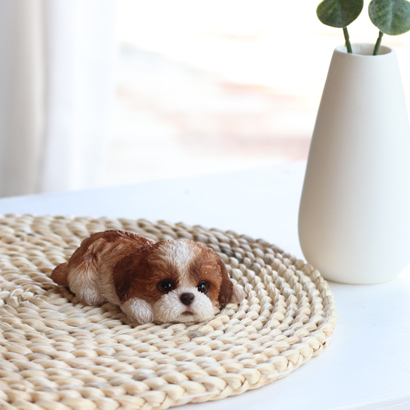 うつ伏せシーズーブラウンホワイト（小）