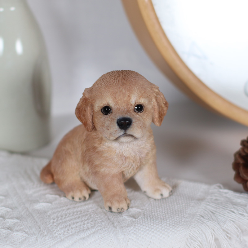右向き座りゴールデンレトリバー子犬　クリーム（小）