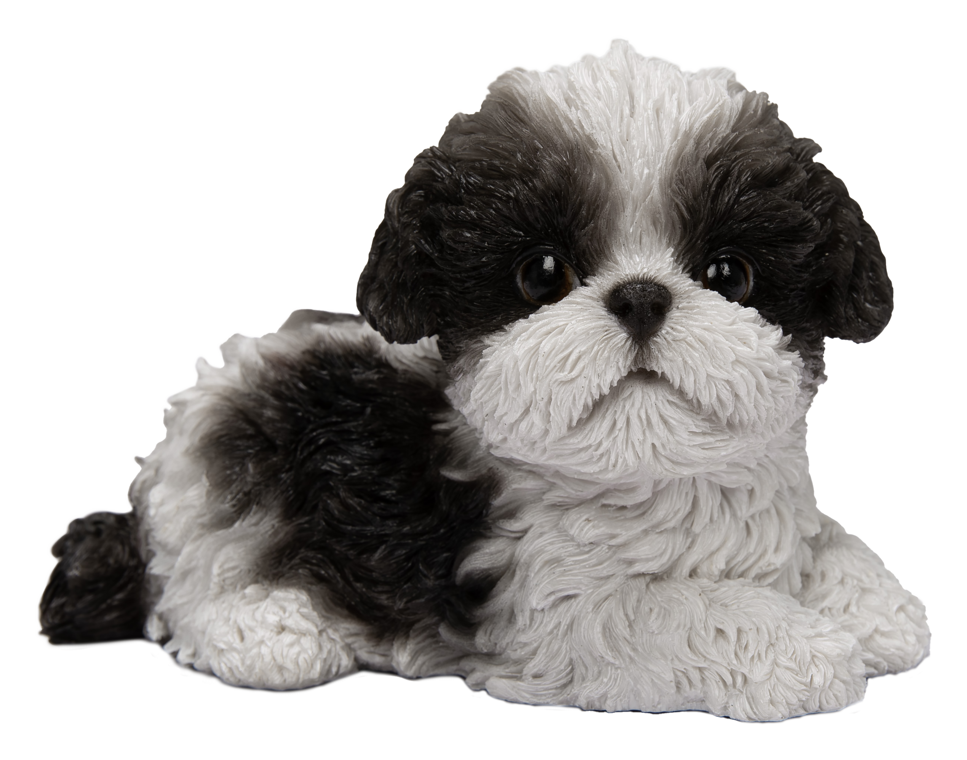 右向きシーズー ⿊⽩（中）