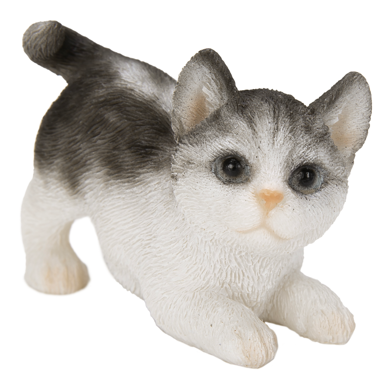 ミニ　じゃれるサバトラ白猫