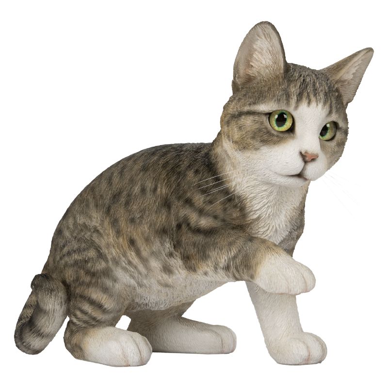 じゃれるサバトラ猫