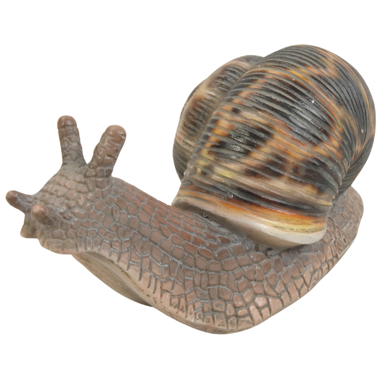 カタツムリ