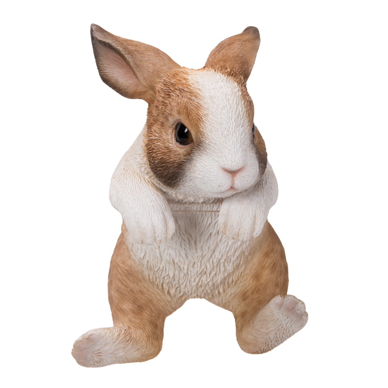 縁飾り うさぎ