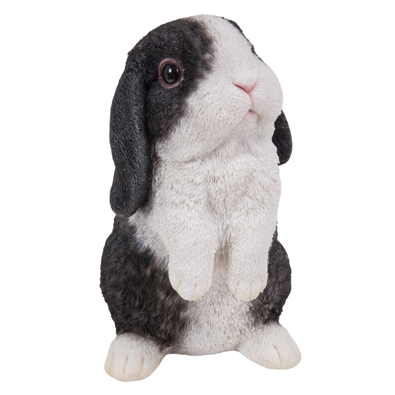 立つアメリカン ファジーロップ  (黒白)