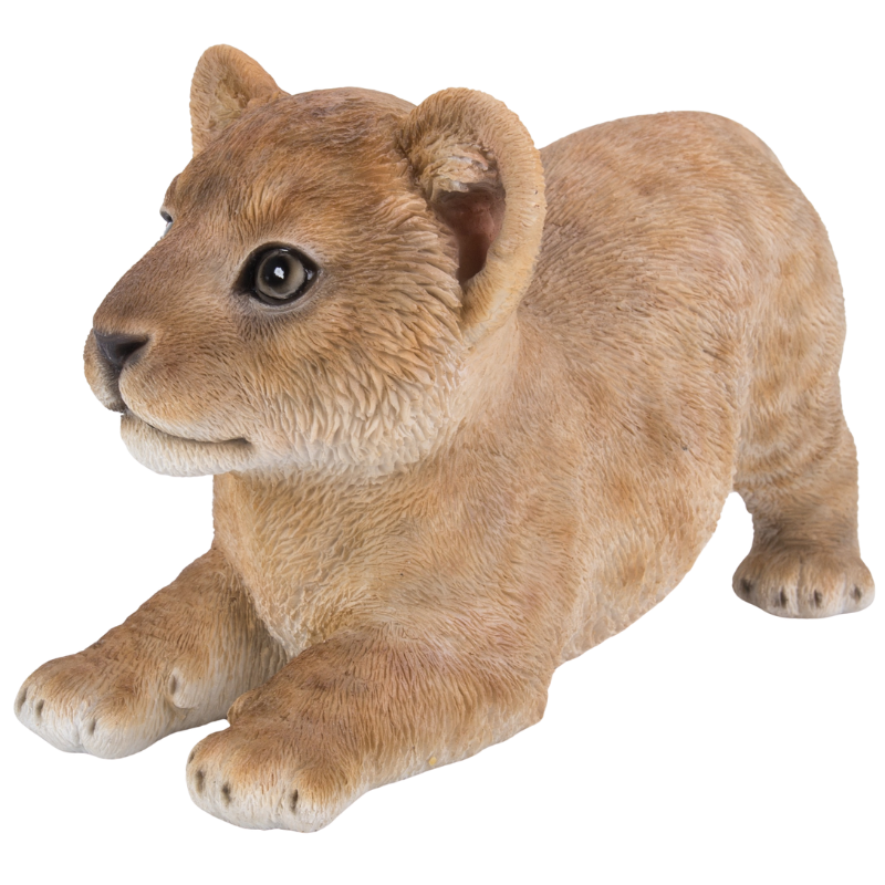 じゃれる 赤ちゃんライオン