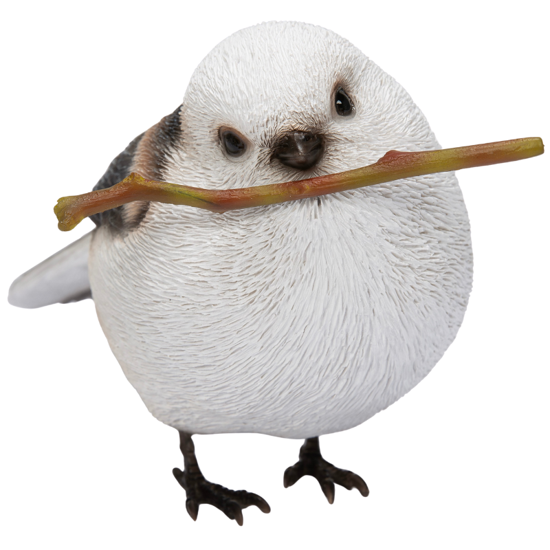 木の枝をくわえるエナガ