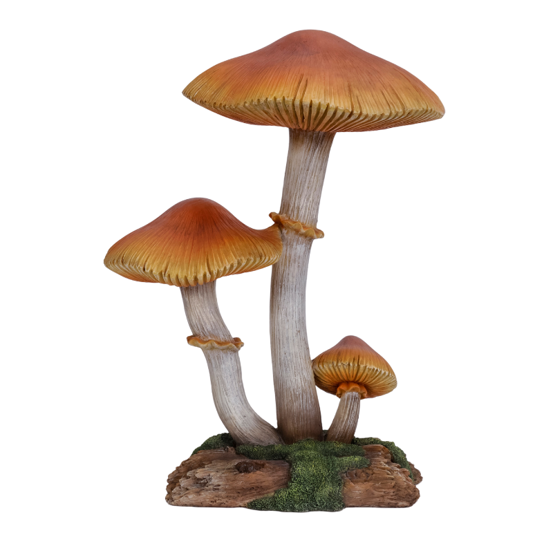 ３傘キノコ（大）