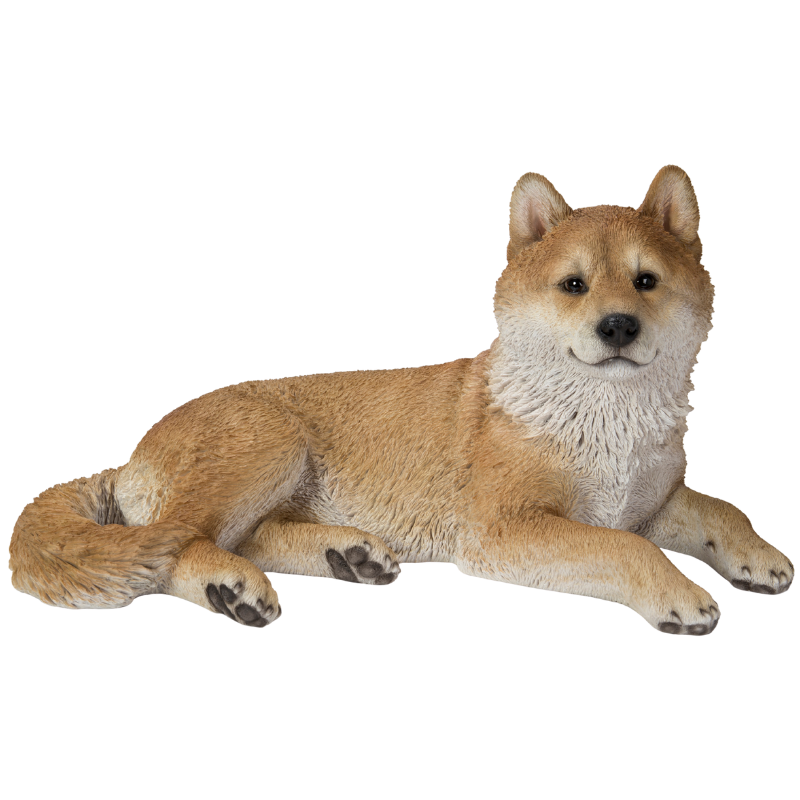 リラックス 柴犬（中）