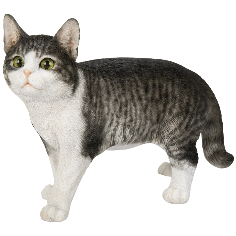 歩くサバトラ猫（大）