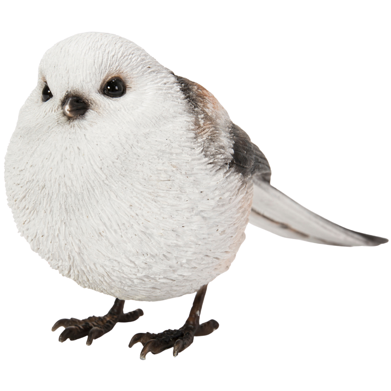 エナガ