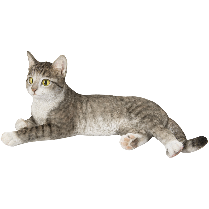 横たわるサバトラ猫