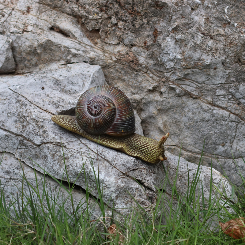 這うカタツムリ