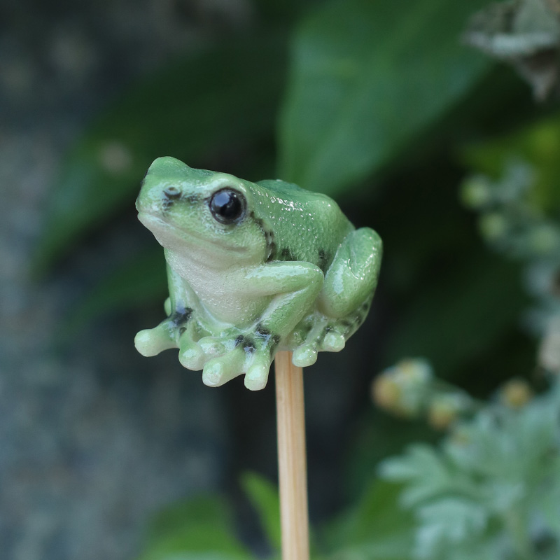 ミドリアマガエルガーデンピック