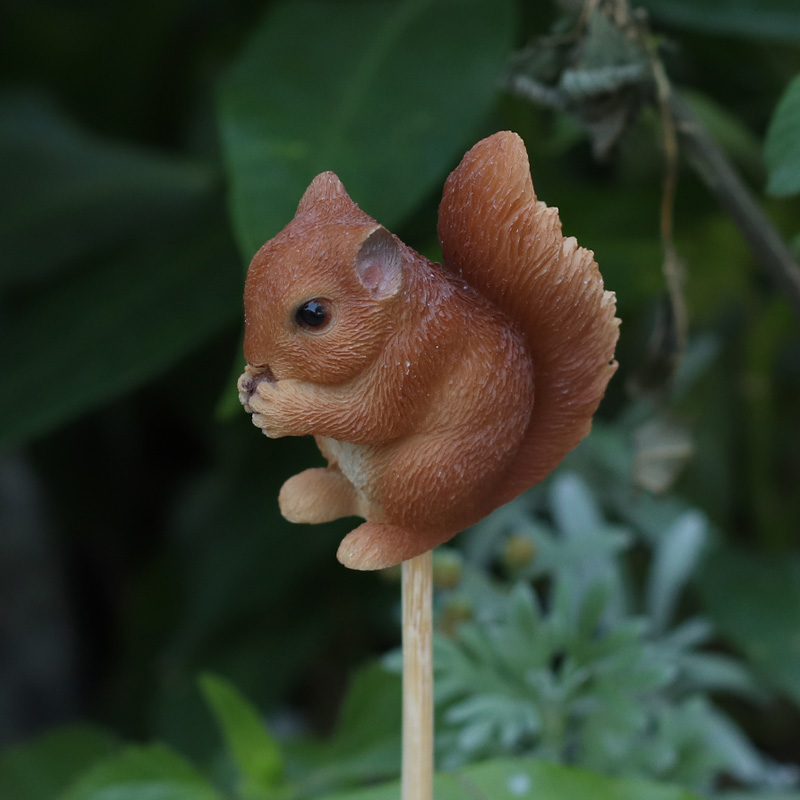 しゃがんでいるリスガーデンピック