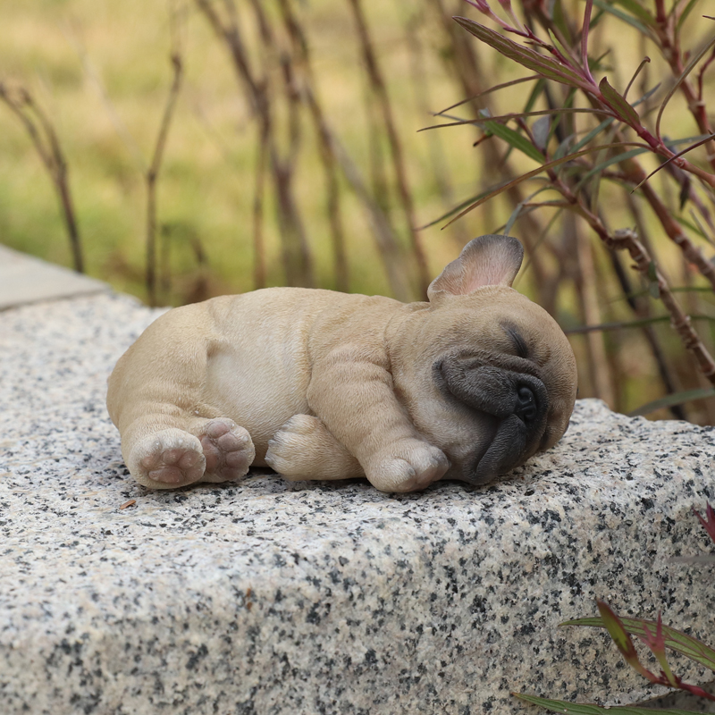 すやすやフレンチブルドッグ