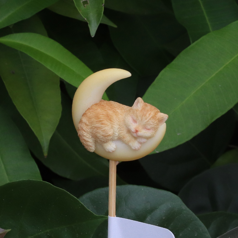 月で眠る猫ガーデンピック