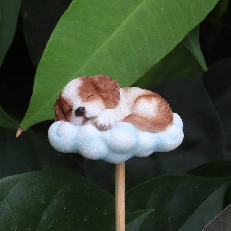 雲の上で眠るキャバリアガーデンピック
