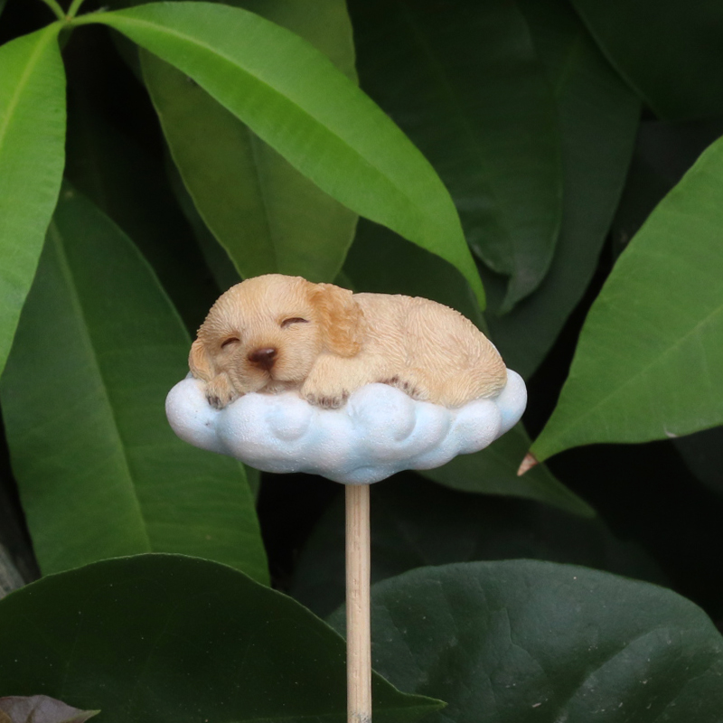雲の上で眠るゴールデンレトリバーガーデンピック