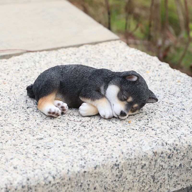 すやすや黒柴犬