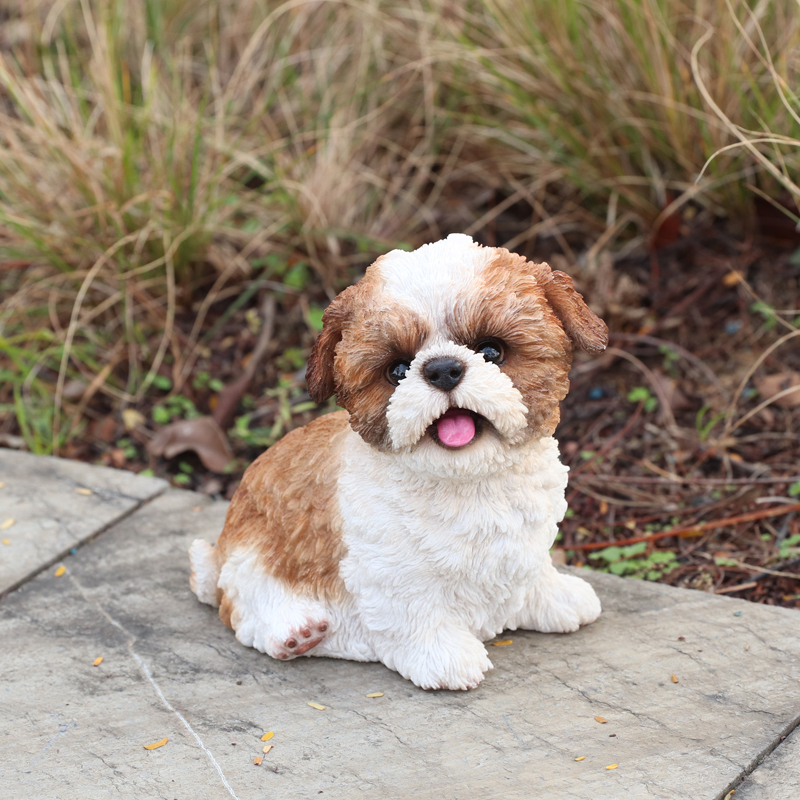 お座りにっこり シーズー　茶白